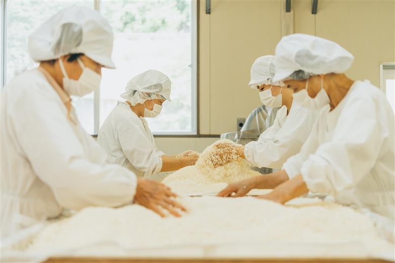 南朝みそ1kgと十年物500gセット 天然醸造 米 味噌 国産大豆 料理 調味料 ミソ 食べ比べ