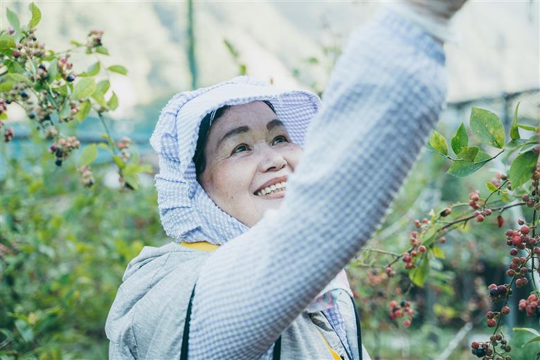 先行受付 2025年9月～発送 としちゃんのブルーベリージャム200gx6個 手摘み 下北山村産 栽培期間中農薬不使用