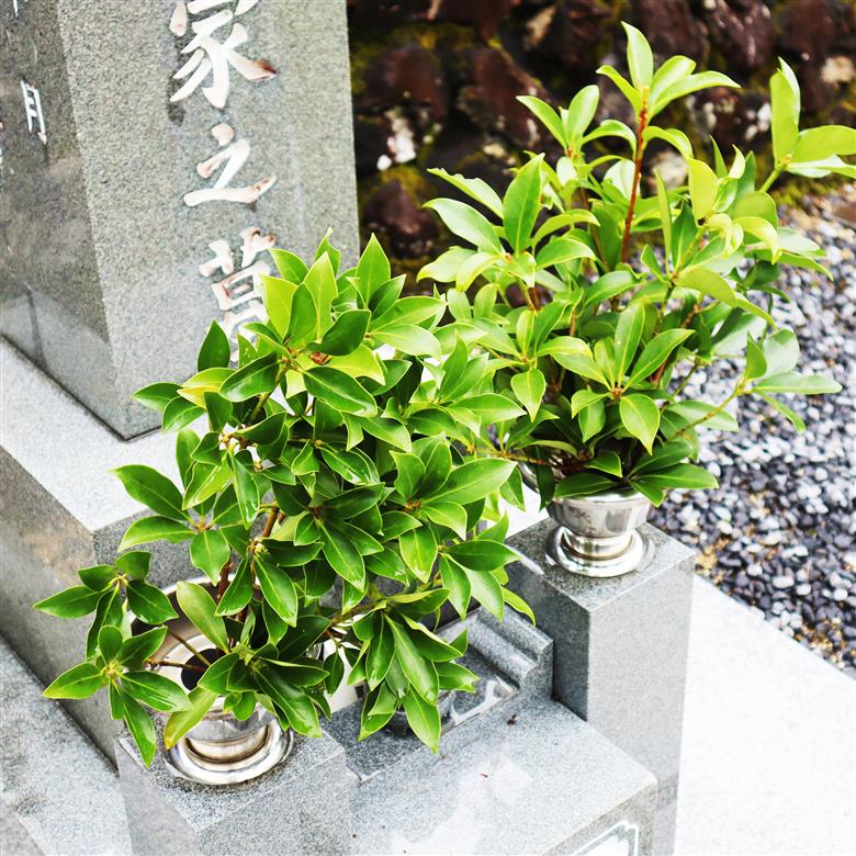 お墓清掃サービス年間4回分 下北山村 お墓 清掃サービス 代行 なかなか帰省が出来ない方、遠方・ご高齢の方に代わって清掃