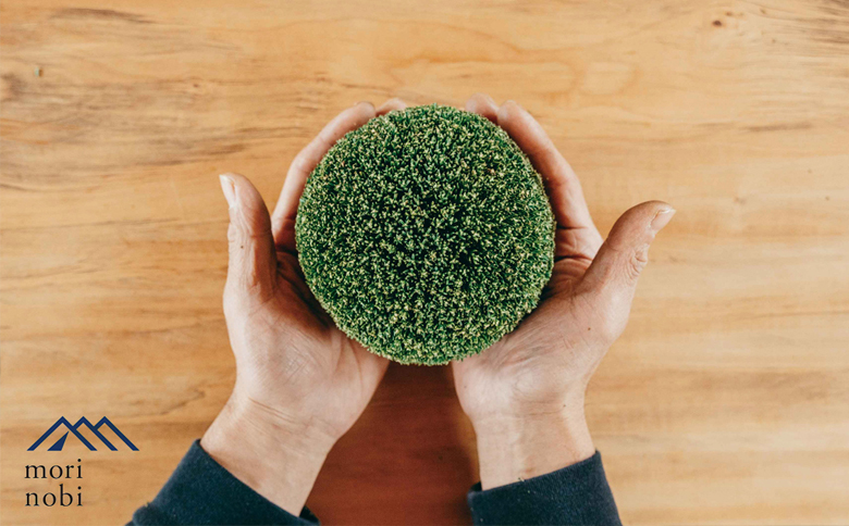 森のめぐみをてのひらに下北山の森でつくる「小さな杉玉」体験