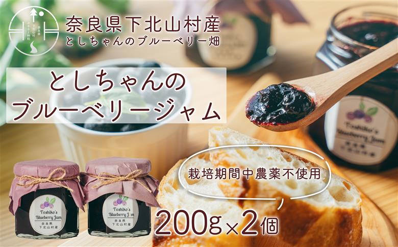 先行受付 2025年9月～発送 としちゃんのブルーベリージャム200gx2個 手摘み 下北山村産 栽培期間中農薬不使用