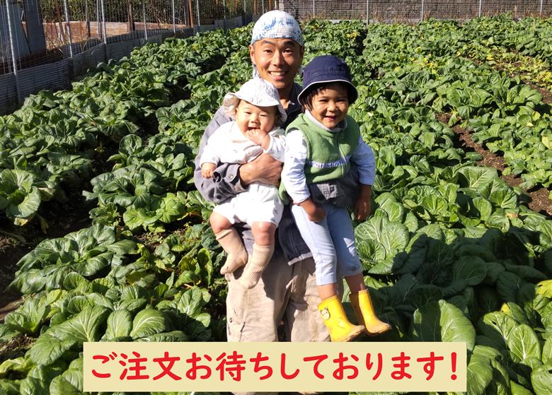 【自然栽培】大和の伝統野菜 下北春まな2kg