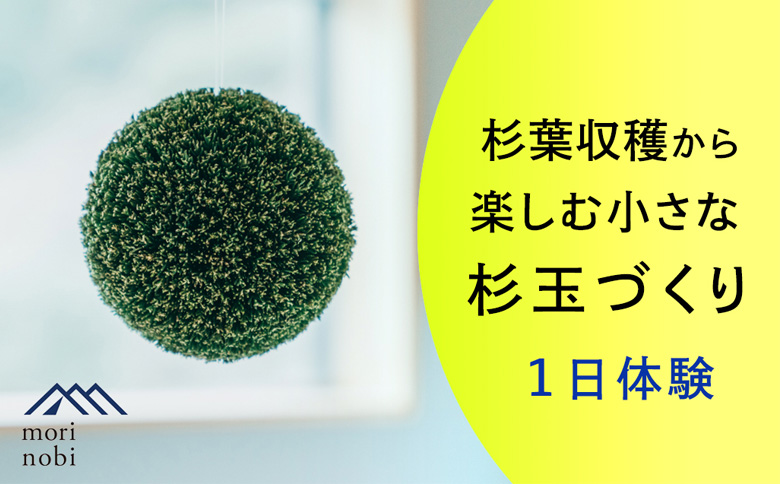 森のめぐみをてのひらに下北山の森でつくる「小さな杉玉」体験