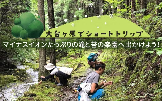 「マイナスイオンたっぷりの滝見学と苔観察」体験割引券（3,000円分） | マイナスイオン 滝 たき タキ 苔 こけ コケ 観察 自然 奈良県 上北山村