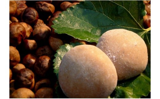 上北山村特産品 とち餅 ５パック | 日本遺産 昔ながらの製法 おもち もち お餅 とちの実 お土産 奈良県 上北山村 とちもち