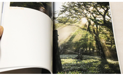 写真家・三橋直人 作品集 | 写真 三橋直人 作品集 大台ヶ原 大台ヶ原山 上北 上北山