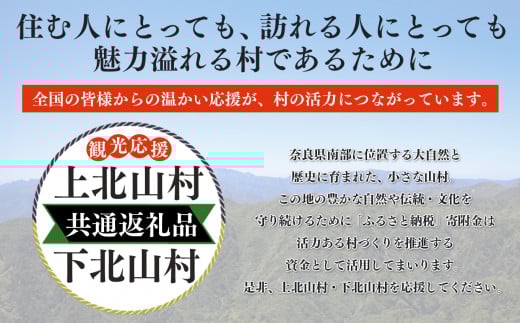 上北山村×下北山村 観光応援 共通返礼品 A 柿の葉寿司・5種10個入/杉のまな板小30cm×18cm | さば さけ あじ たい えび  お寿司 柿の葉ずし 寿司 鯖 鮭 鯵 鯛 海老 お土産 奈良県 上北山村 杉 まな板 無垢一枚板