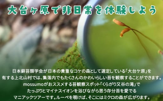 「マイナスイオンたっぷりの滝見学と苔観察」体験割引券（3,000円分） | マイナスイオン 滝 たき タキ 苔 こけ コケ 観察 自然 奈良県 上北山村