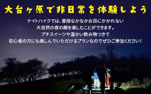 「大台ヶ原ナイトハイク」夜の大自然を満喫・夜にしか出会えない景色に行こう体験割引券（3,000円分）｜ 夜の大自然 大台ヶ原 ナイトハイク 夜景 奈良県 上北山村