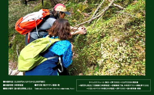 「マイナスイオンたっぷりの滝見学と苔観察」体験割引券（3,000円分） | マイナスイオン 滝 たき タキ 苔 こけ コケ 観察 自然 奈良県 上北山村