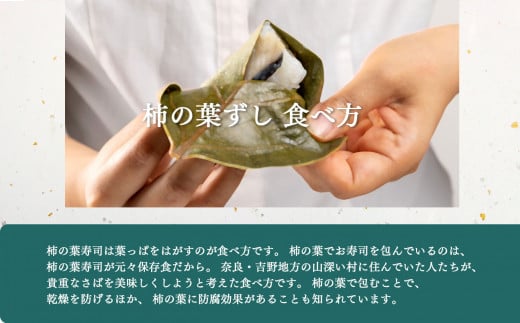 柿の葉寿司 5種20個入り 【冷凍】 | えび あなご 金目鯛 炙りさけ 焼さば 奈良県 上北山村 お寿司 寿司 海老 穴子 鮭 鯖 お土産 贈答用【配達指定日：2週間以降の日付】