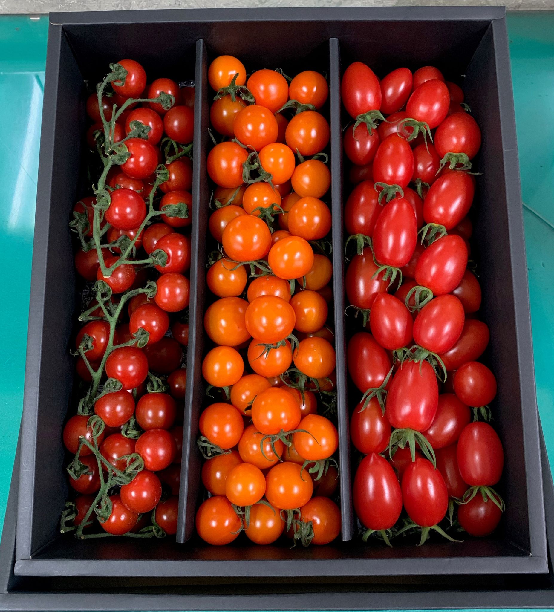 M010　こだわりミニトマト詰め合わせ