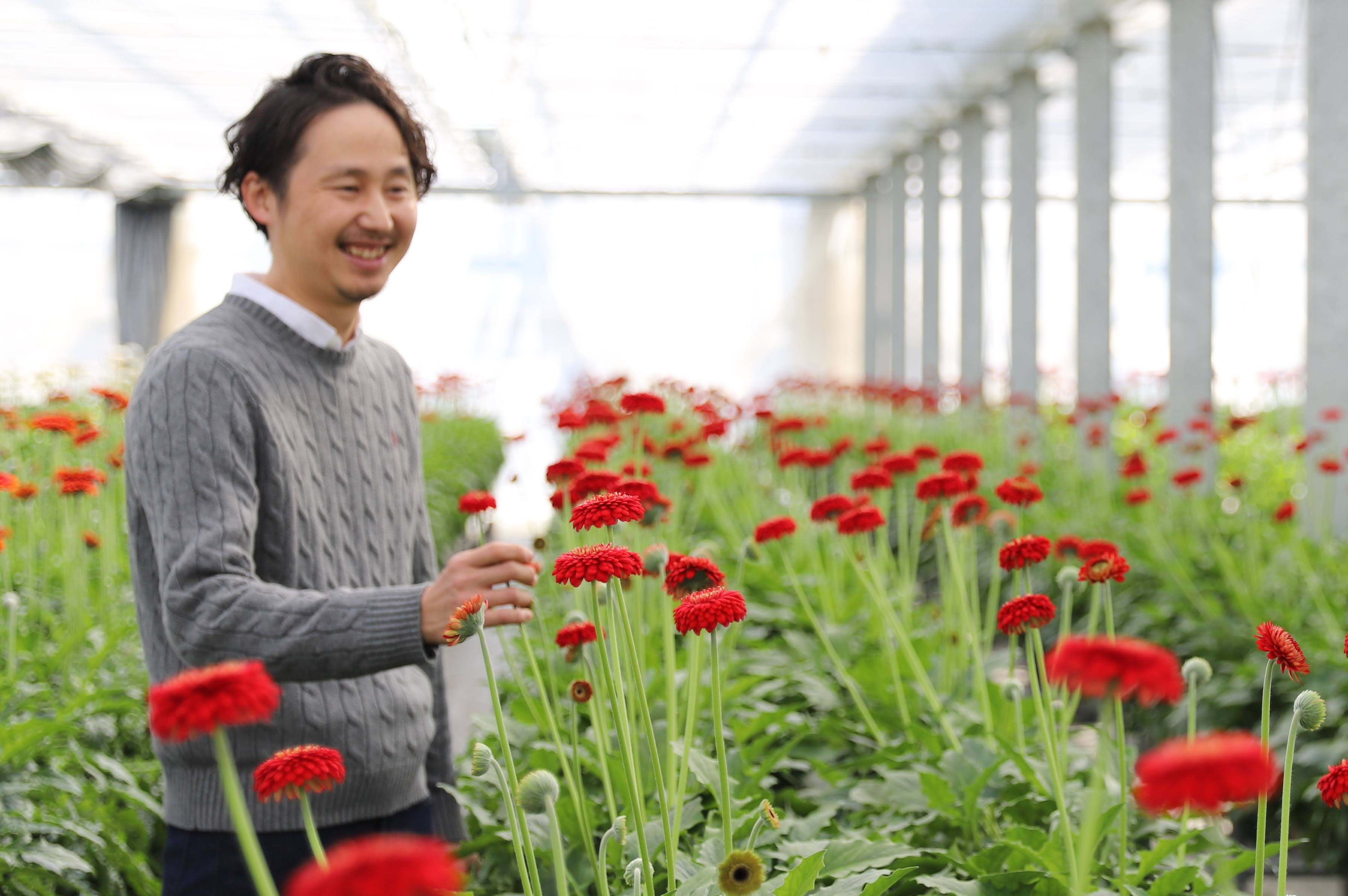 M014　元気なガーベラ２０本セット