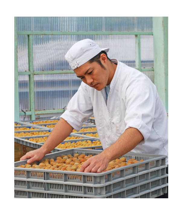 M070　紀州完熟南高梅　あっさり白龍