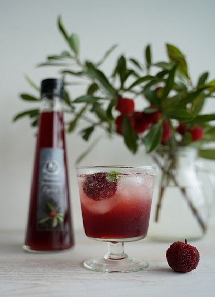 M088　熊野やまももシロップ２本