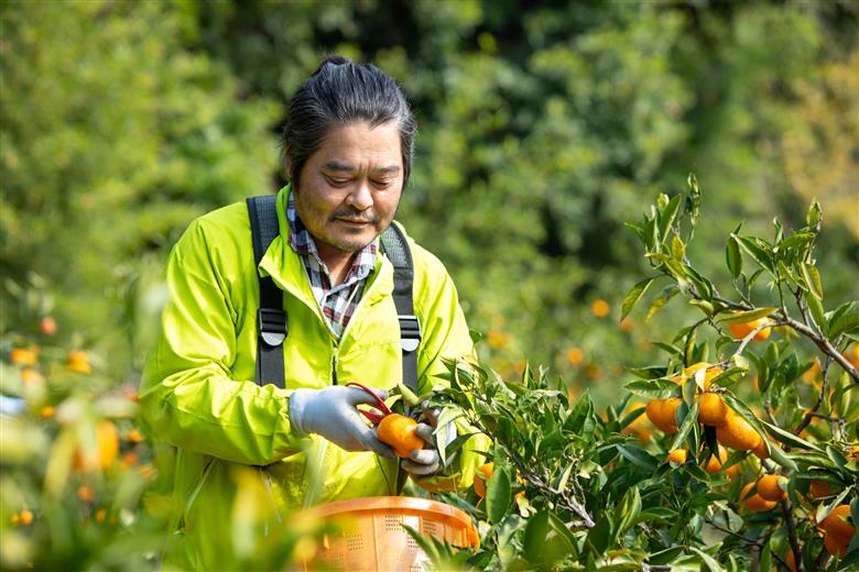 M089　プレミアムみかんジュ－ス