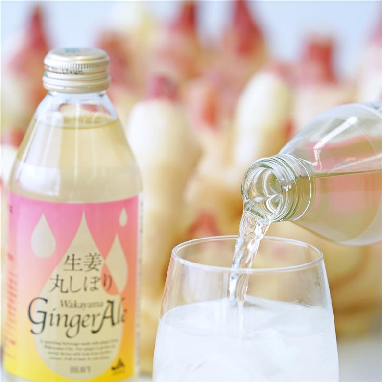 M097　生姜丸しぼりわかやまジンジャーエール