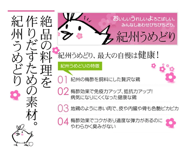 M167　紀州うめどりむね切身　２００ｇｘ１３