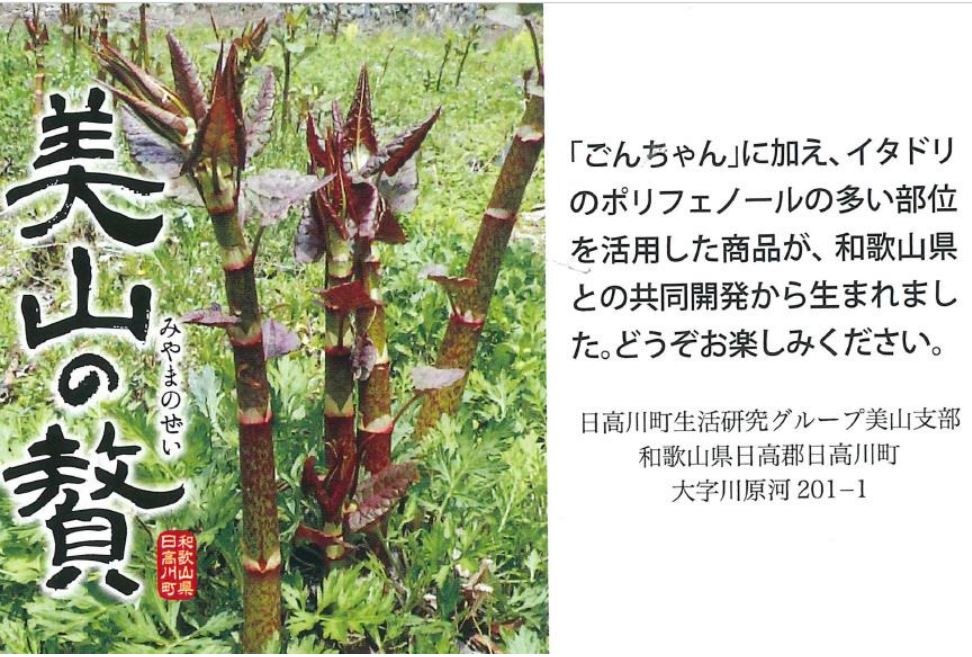 M183　【美山の贅】イタドリ加工品３種詰合せセット