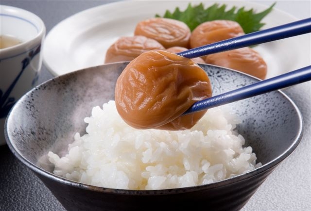 M262　紀州　うす塩味梅　紀和の梅　１ｋｇ×２