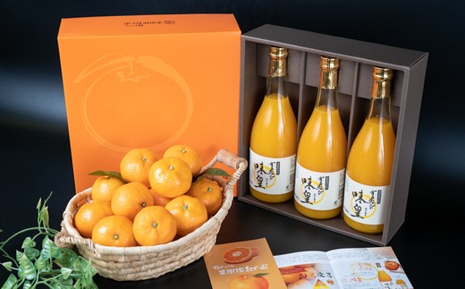 M508　【定期便】　みかんジュース飲み比べ（２）