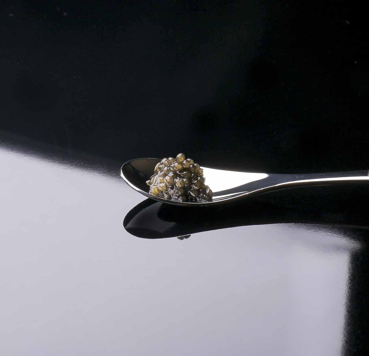 M151　近大キャビア１０ｇ