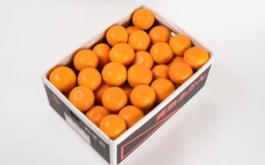 M440　超熟屋根掛けみかん　黒特選１０㎏