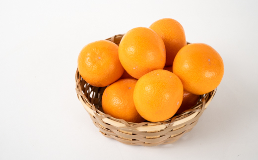 M251　超熟屋根掛けみかん　赤特選５㎏