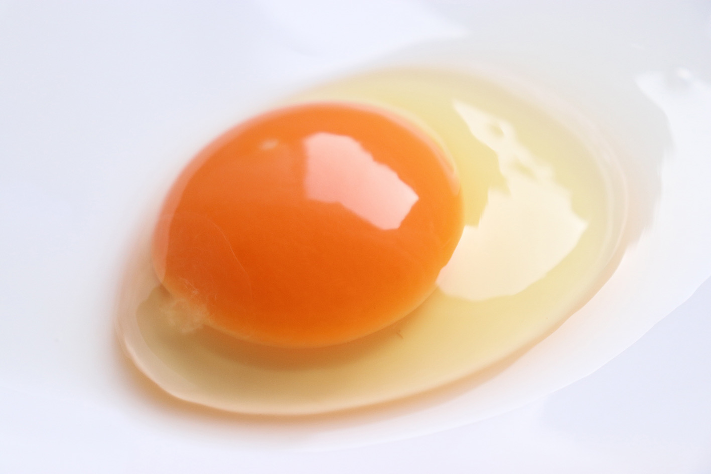 M169　紀州うめたまごと龍神コッコたまごセット