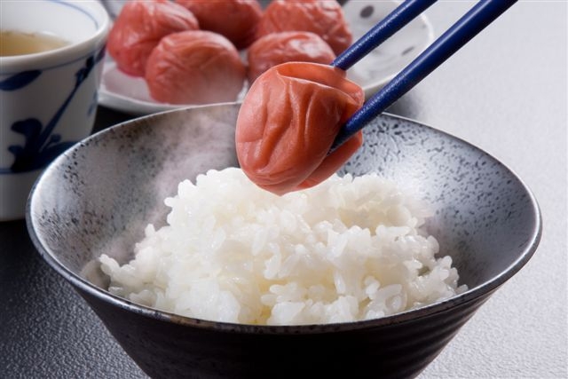 M426　紀州　しそ漬梅　紀和の梅　１ｋｇ×４