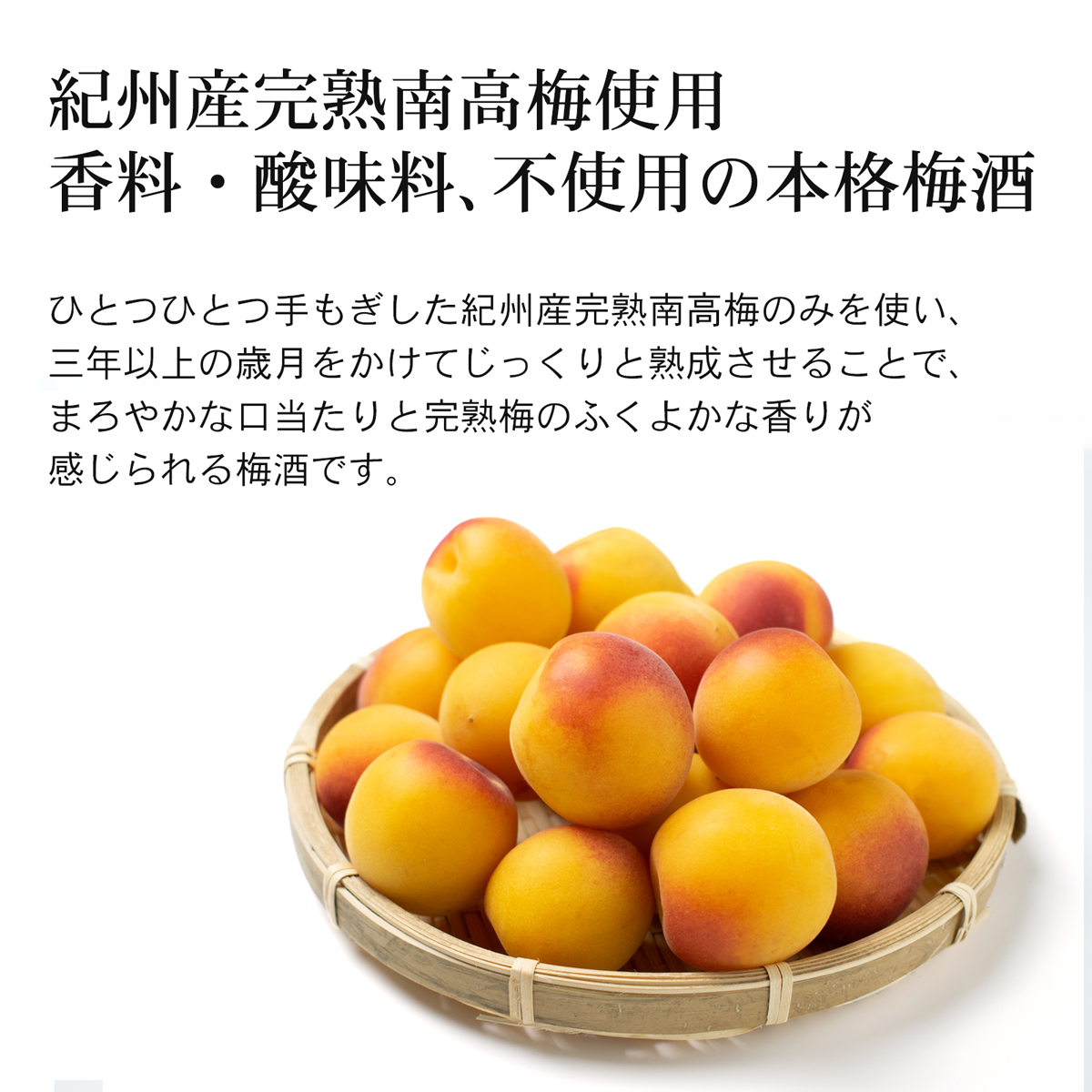 M454　幻の梅酒 熊野伝説 黒瓶・白瓶 セット