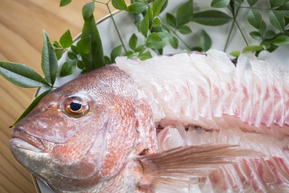 M291　紀州梅まだい２尾（鮮魚）