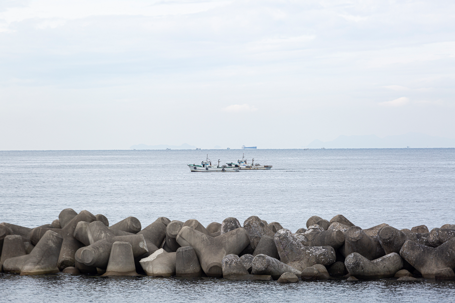 M142　紀州特選上干ちりめん