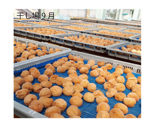 M275　紀州完熟南高梅　特別の日の梅干・二段重