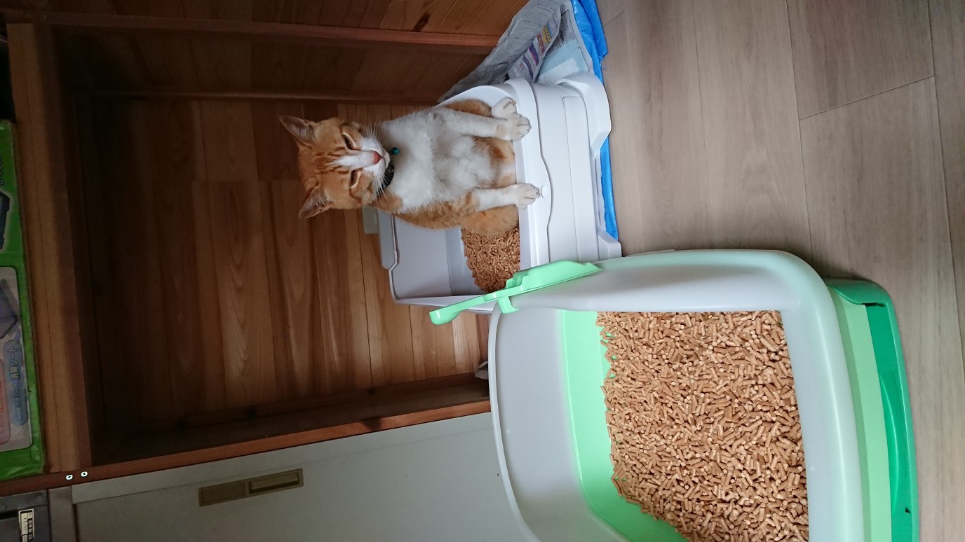 M408　森のねこトイレ　くずれるタイプ　５Ｌ×１２袋