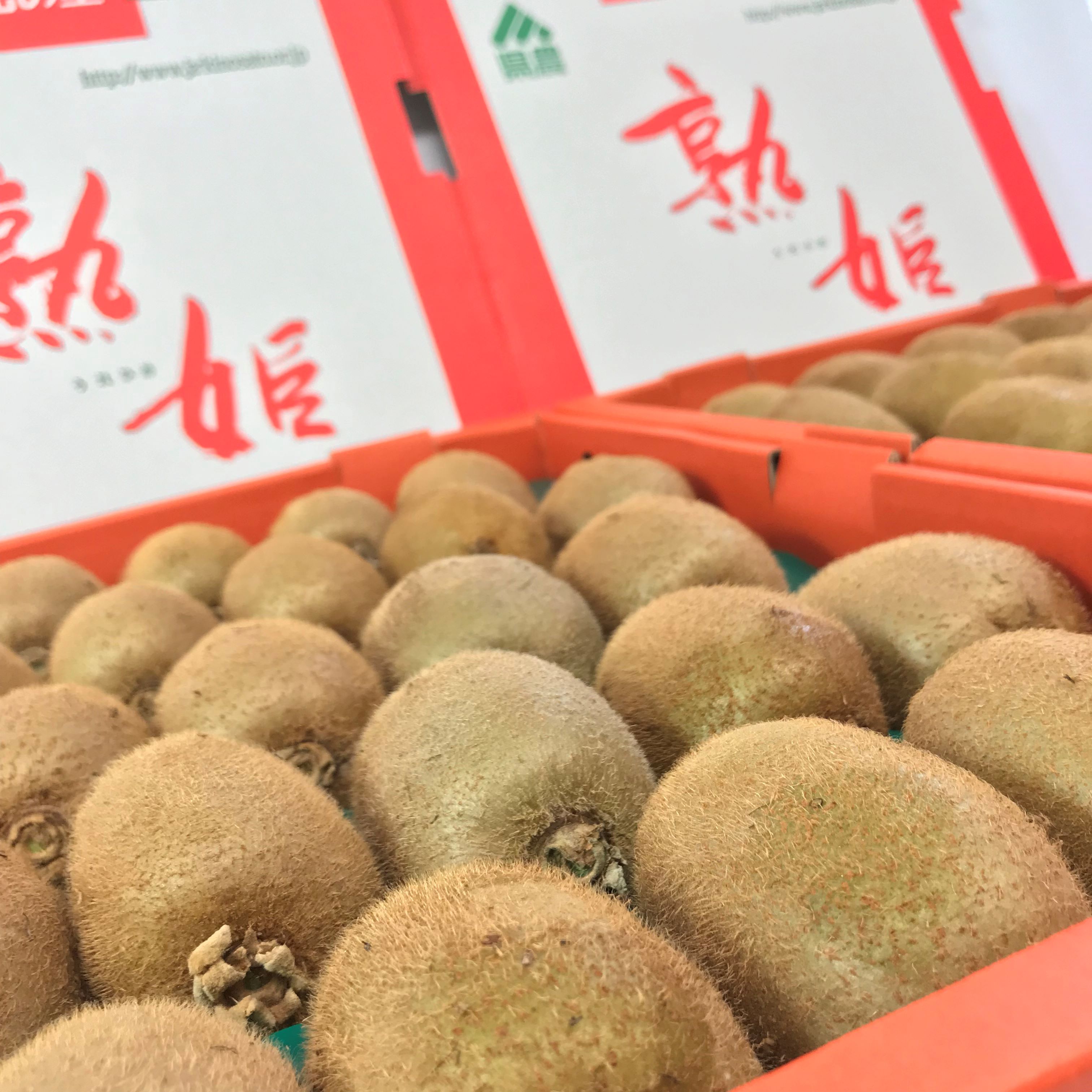 M008　熟姫キウイフルーツ　約３．５ｋｇ　サイズお任せ