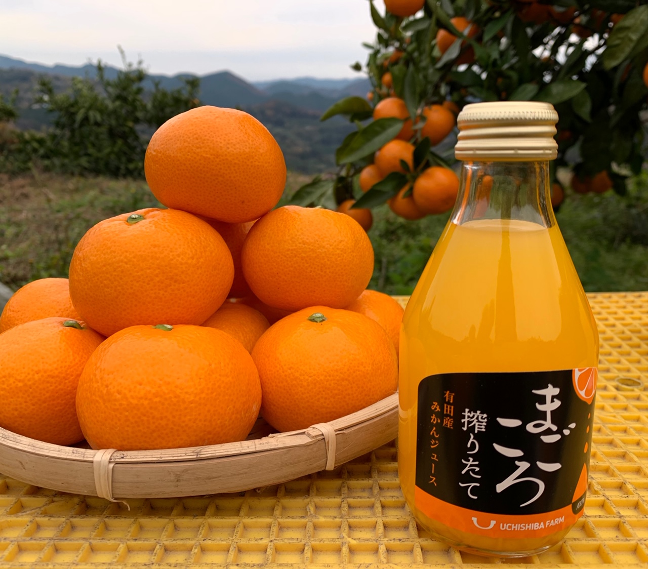 M082　まごころ搾りたて有田産みかんジュース１８０ｍｌ　１２本入