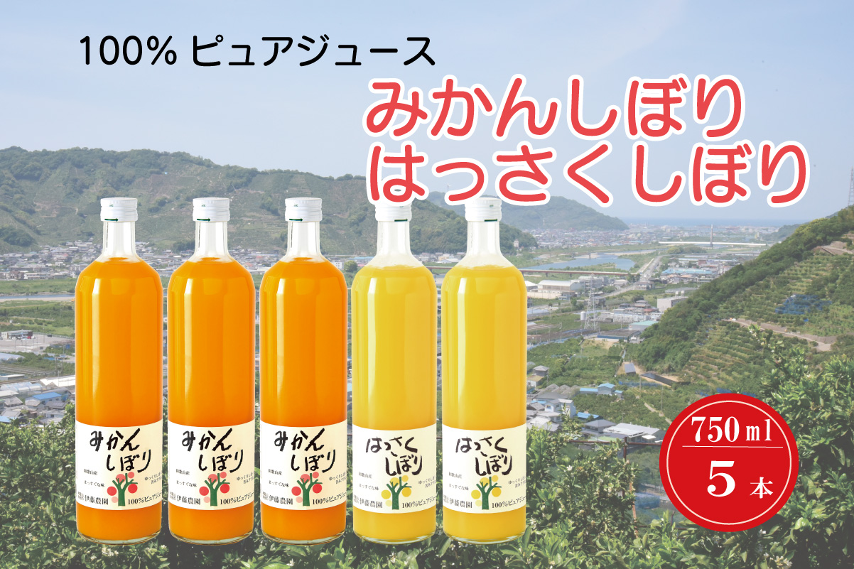 M283　１００％ピュアジュース　７５０ｍｌ　５本入り