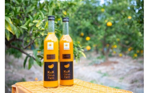 M508　【定期便】　みかんジュース飲み比べ（２）