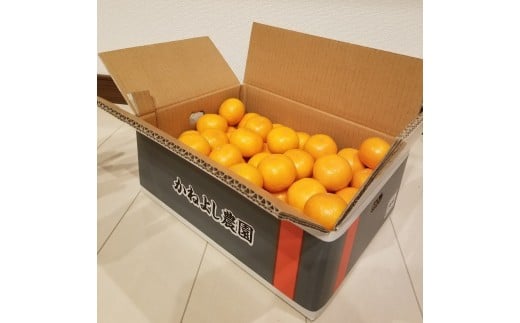 M249　かねよし農園みかん５ｋｇ　Ｌサイズ