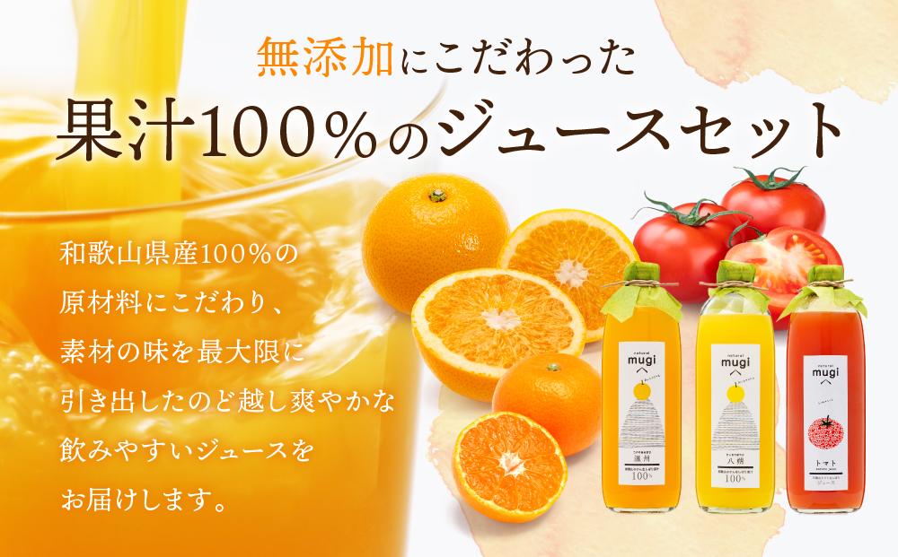 無添加・果汁100％わかやまジュースのじかん　500ｍｌセット