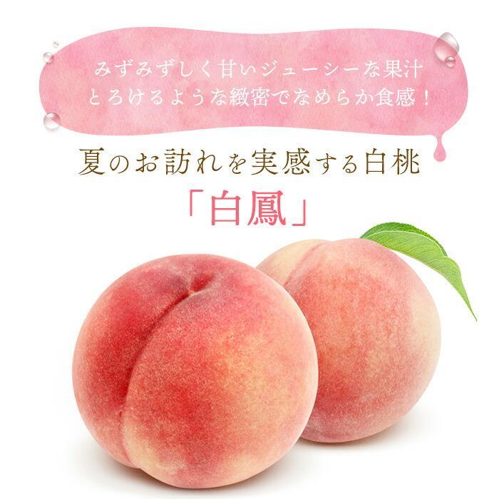 和歌山県産 白鳳 桃 11～16玉入り 訳あり ご家庭用 数量限定［2026年6月下旬以降発送］［MG91］