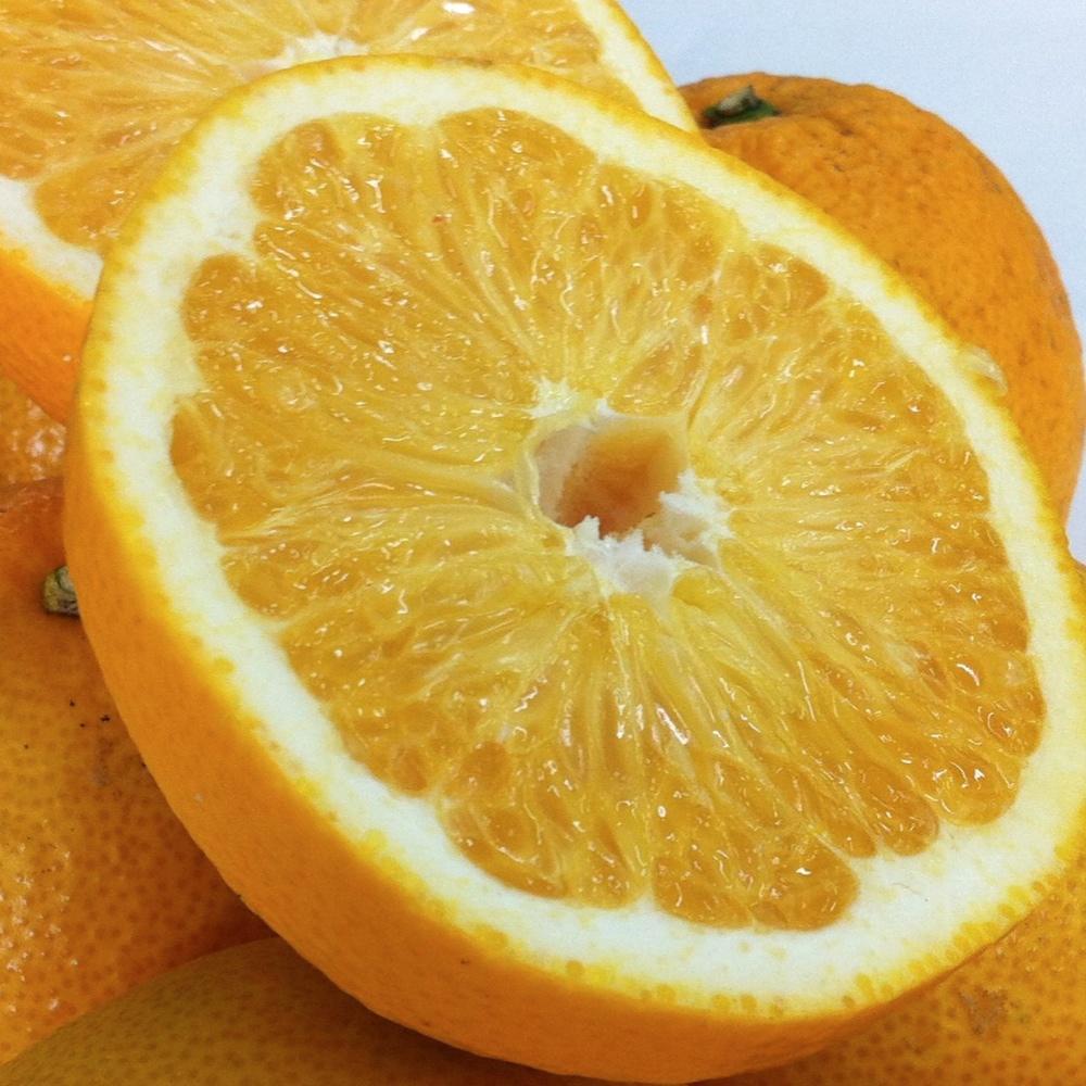 和歌山産 八朔 秀品 3kg(サイズおまかせ)