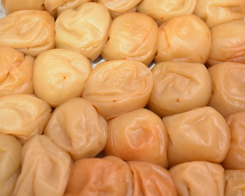 高級南高梅うす塩・邑咲（昆布旨味）個包装計20粒入【紀州塗箱 網代模様仕上】