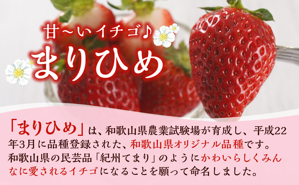 まりひめ4パック【2026年3月～4月発送分】