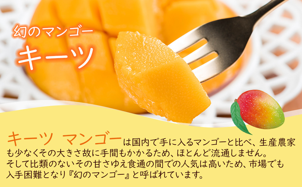 超希少なマンゴー【キーツ】 約1kg 和歌山市（2025年9～10月発送分）