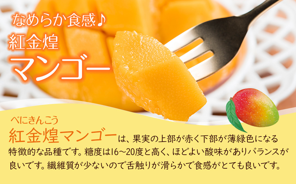 紅金煌 マンゴー 2~3個 入り 合計 800g前後