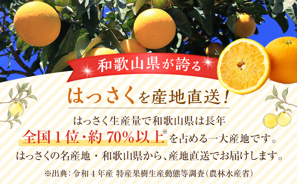 和歌山県産 八朔 秀品 箱込約10kg（約9kg＋保証分500g）