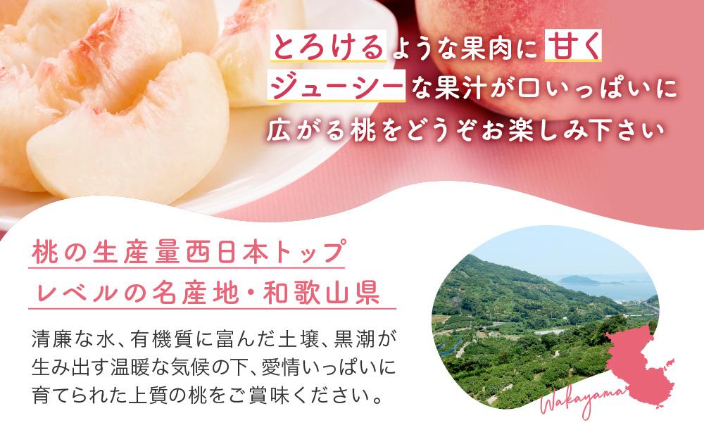 ［産直・人気の特産品］和歌山の桃　約2kg・秀選品★2026年6月下旬～8月中旬頃順次発送★［TM167］