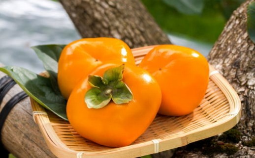 和歌山産たねなし柿（サイズおまかせ）約7.5kg・秀品★2025年10月頃より順次発送［TM10］